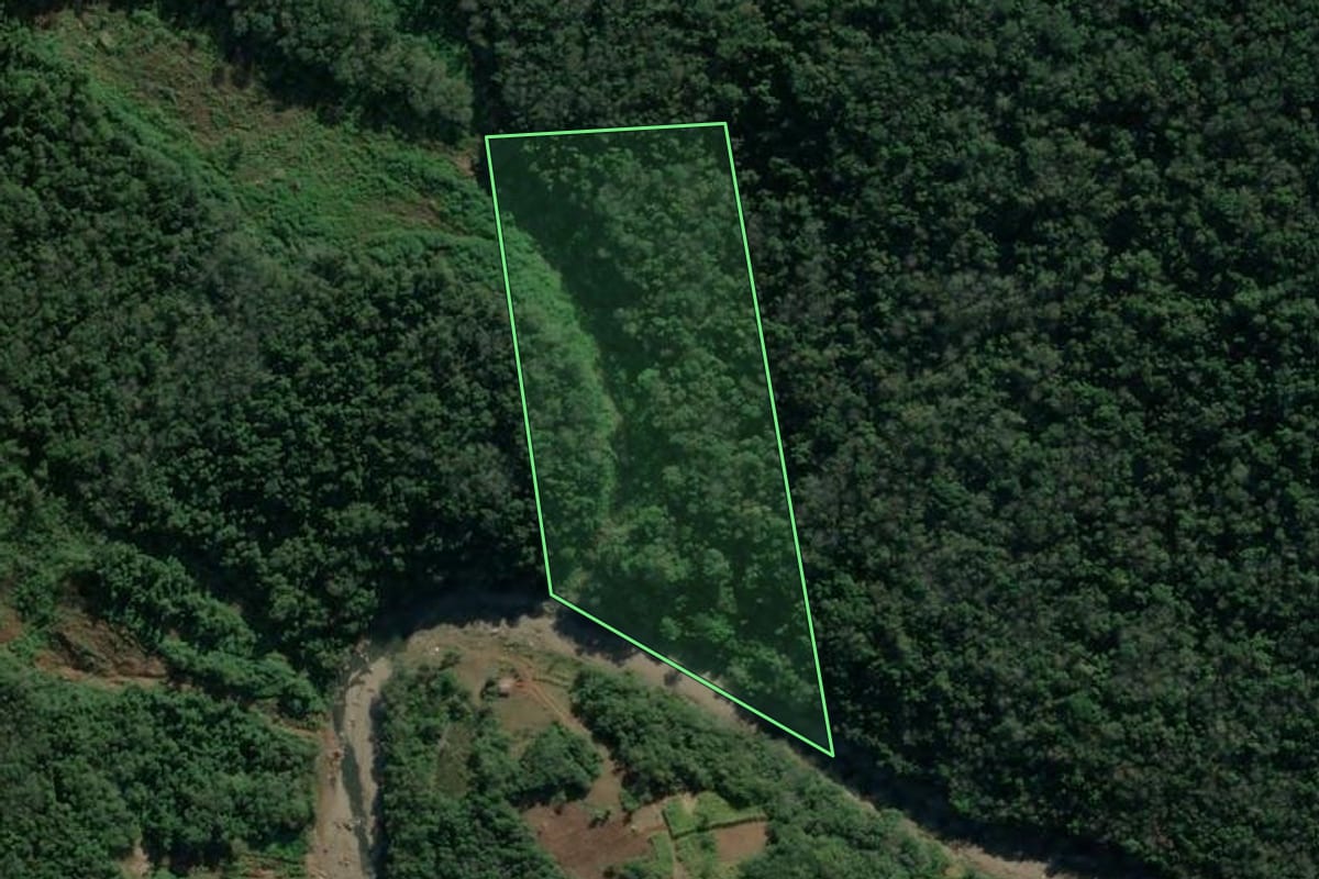 Imagem de satélite do imóvel rural em Veranópolis (RS), com o contorno declarado no CAR desenhado por cima.