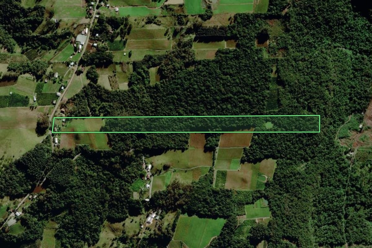 Imagem de satélite do imóvel rural em Veranópolis (RS), com o contorno declarado no CAR desenhado por cima.