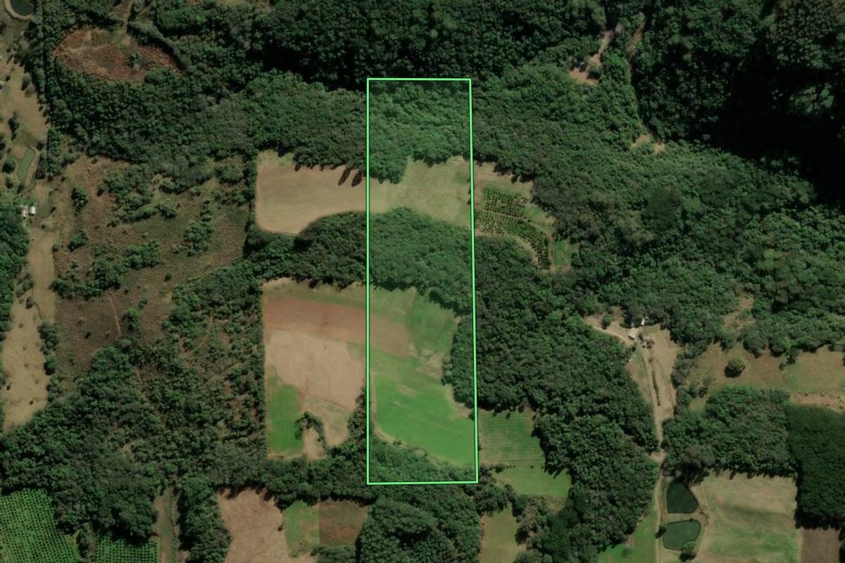 Imagem de satélite do imóvel rural em Veranópolis (RS), com o contorno declarado no CAR desenhado por cima.