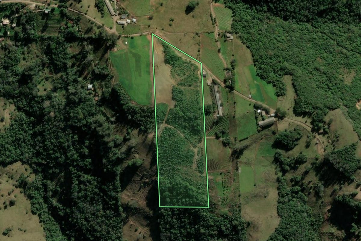 Imagem de satélite do imóvel rural em Veranópolis (RS), com o contorno declarado no CAR desenhado por cima.