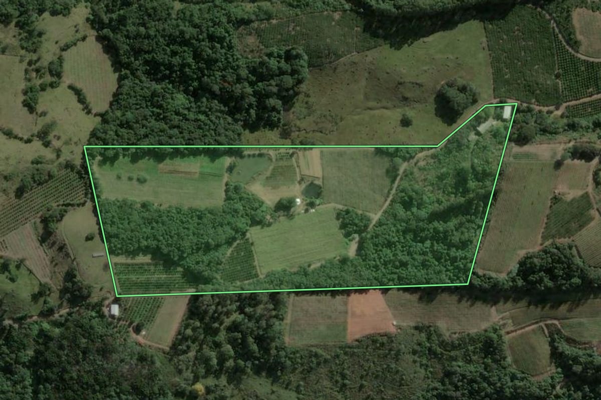 Imagem de satélite do imóvel rural em Veranópolis (RS), com o contorno declarado no CAR desenhado por cima.