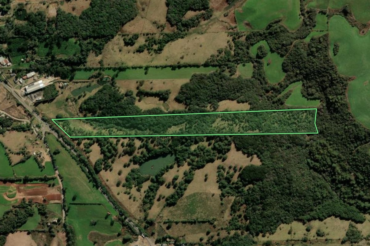 Imagem de satélite do imóvel rural em Veranópolis (RS), com o contorno declarado no CAR desenhado por cima.
