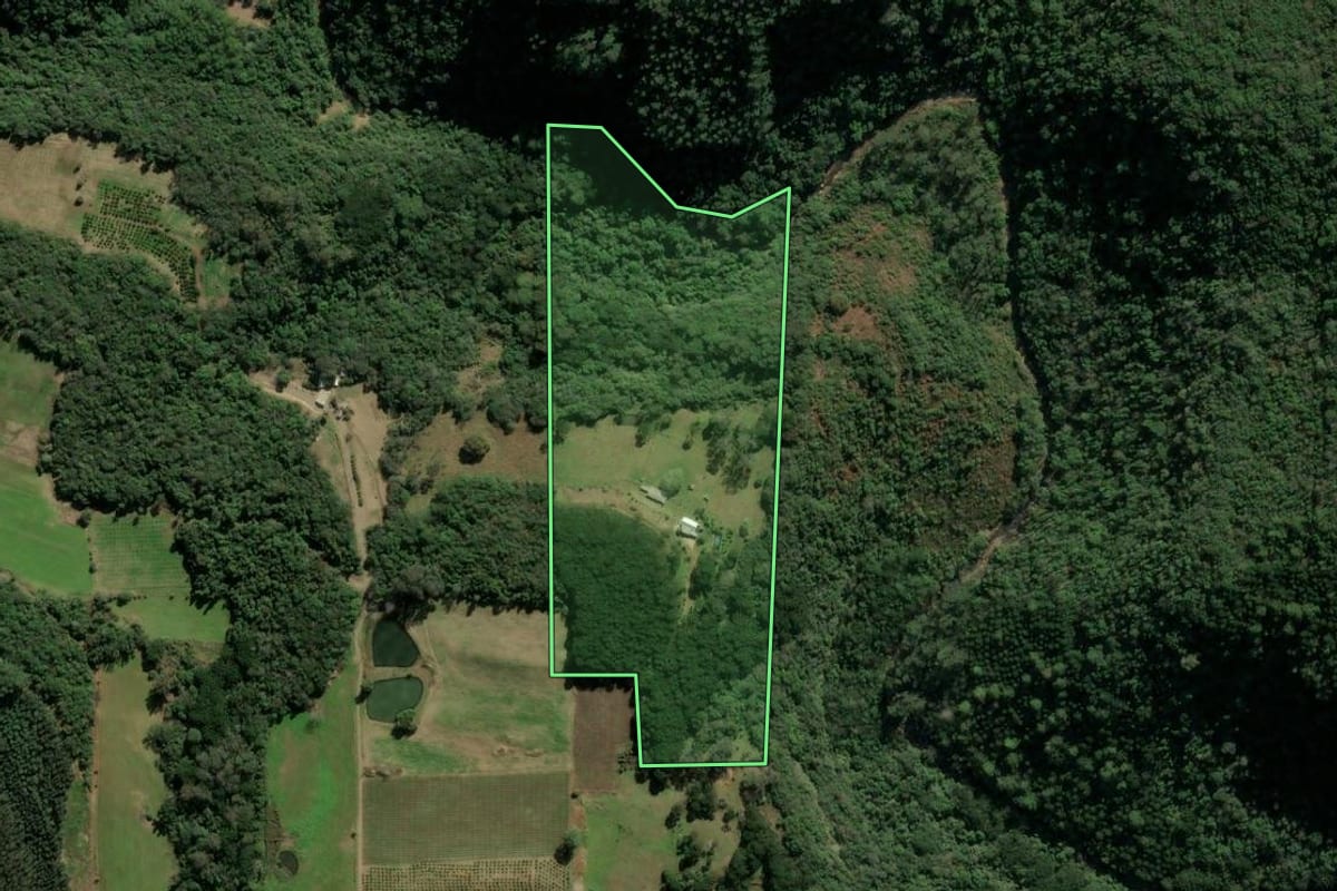 Imagem de satélite do imóvel rural em Veranópolis (RS), com o contorno declarado no CAR desenhado por cima.