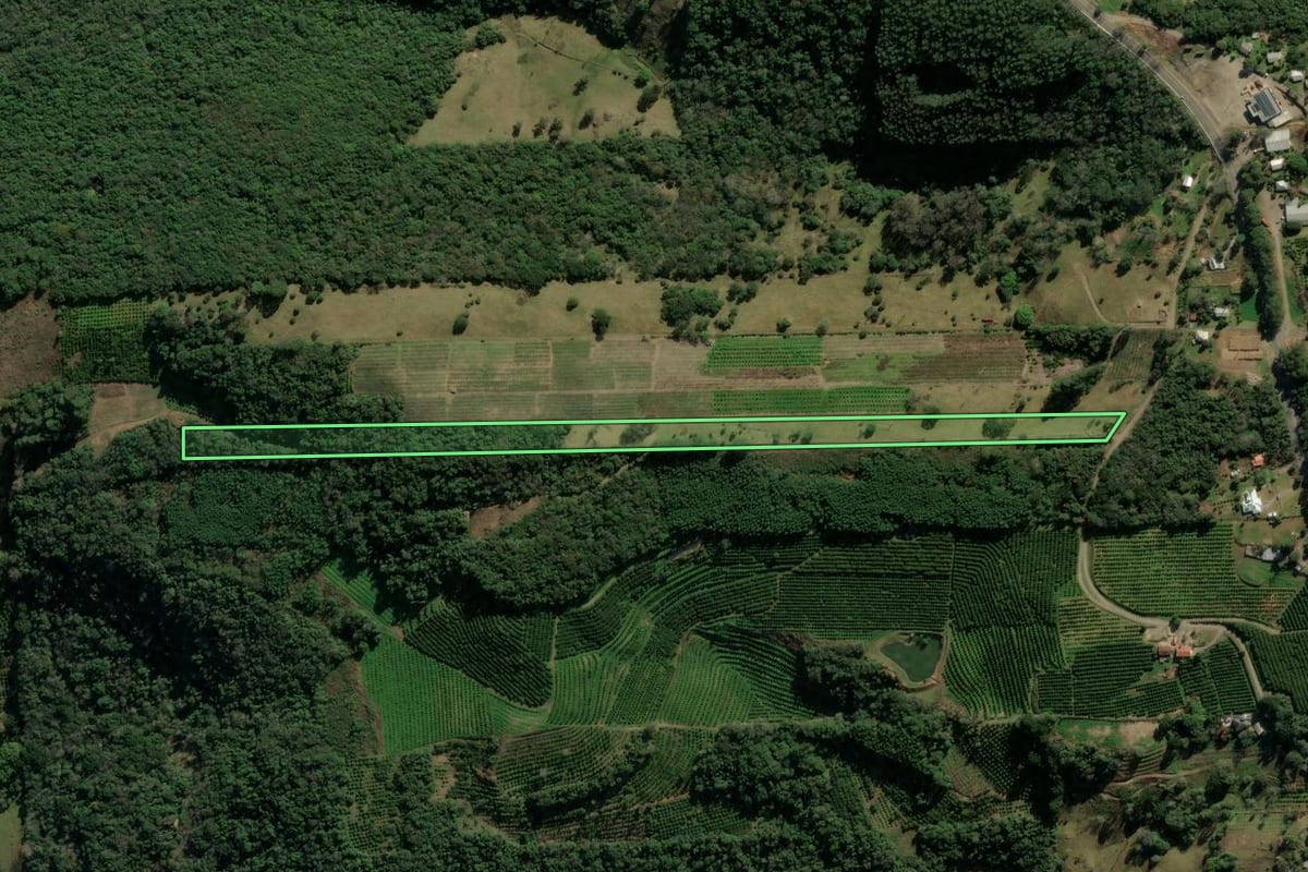 Imagem de satélite do imóvel rural em Veranópolis (RS), com o contorno declarado no CAR desenhado por cima.
