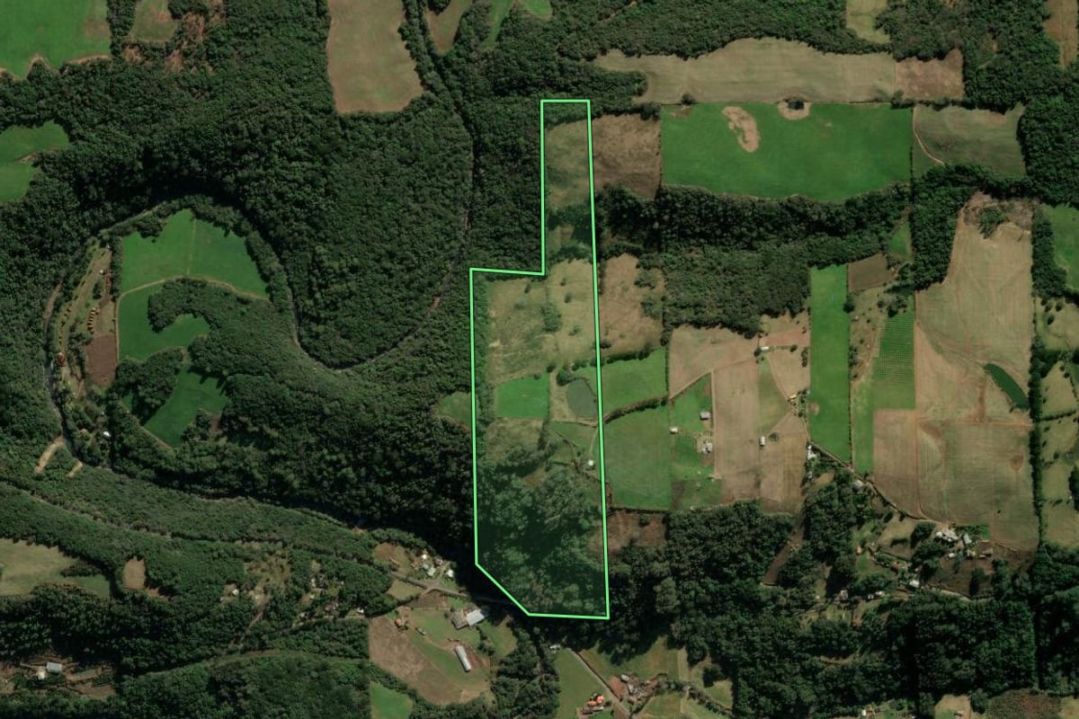 Imagem de satélite do imóvel rural em Veranópolis (RS), com o contorno declarado no CAR desenhado por cima.