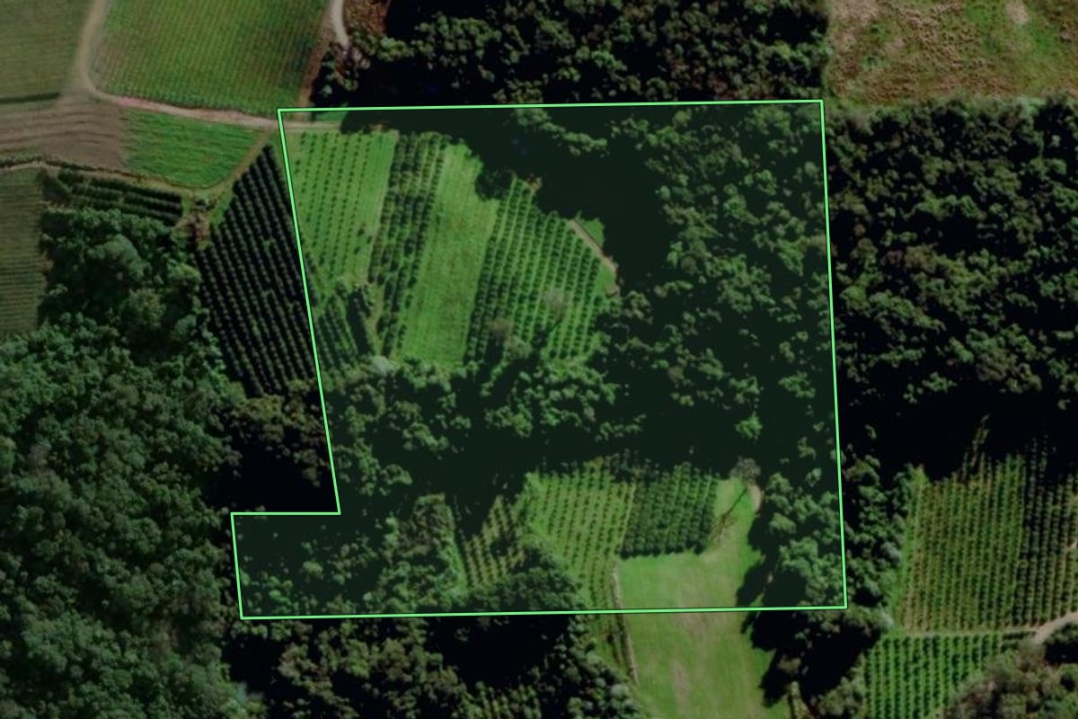 Imagem de satélite do imóvel rural em Veranópolis (RS), com o contorno declarado no CAR desenhado por cima.