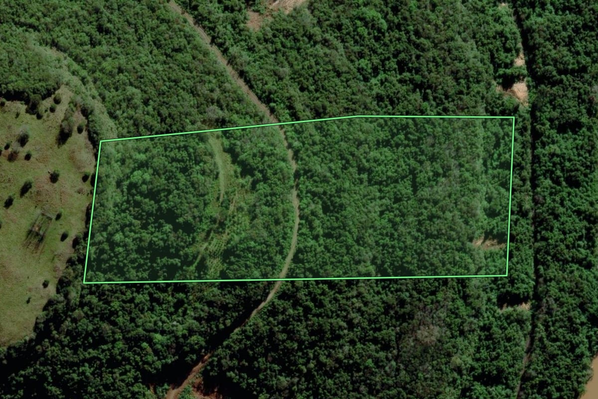 Imagem de satélite do imóvel rural em Veranópolis (RS), com o contorno declarado no CAR desenhado por cima.