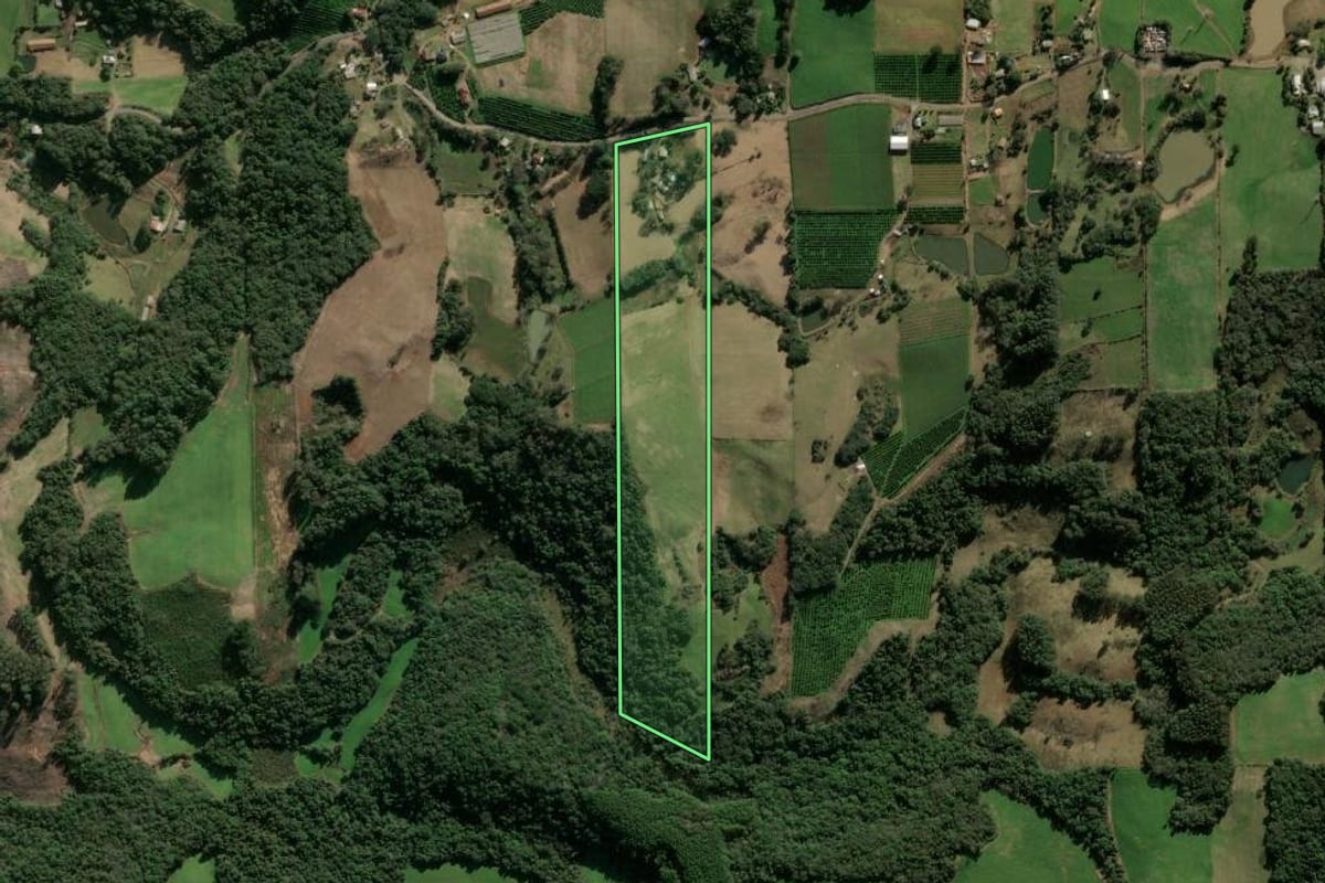 Imagem de satélite do imóvel rural em Veranópolis (RS), com o contorno declarado no CAR desenhado por cima.
