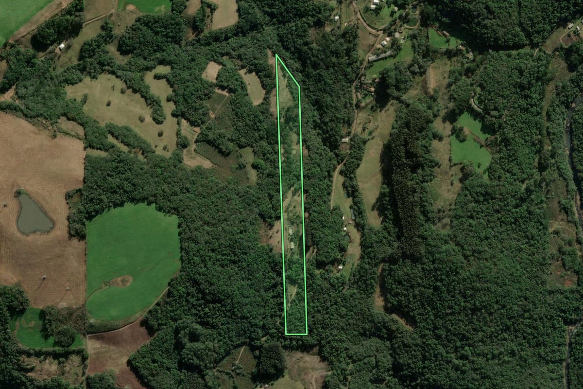 Imagem de satélite do imóvel rural em Veranópolis (RS), com o contorno declarado no CAR desenhado por cima.