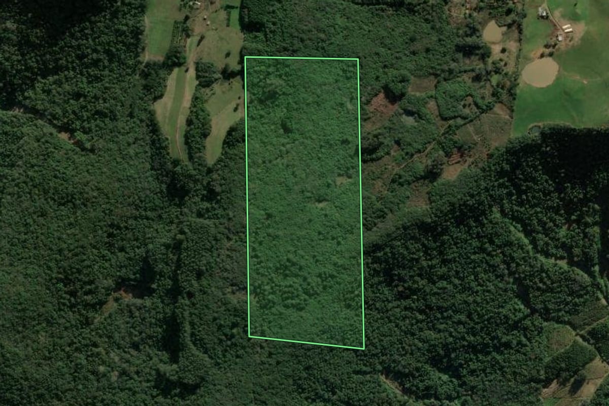 Imagem de satélite do imóvel rural em Veranópolis (RS), com o contorno declarado no CAR desenhado por cima.