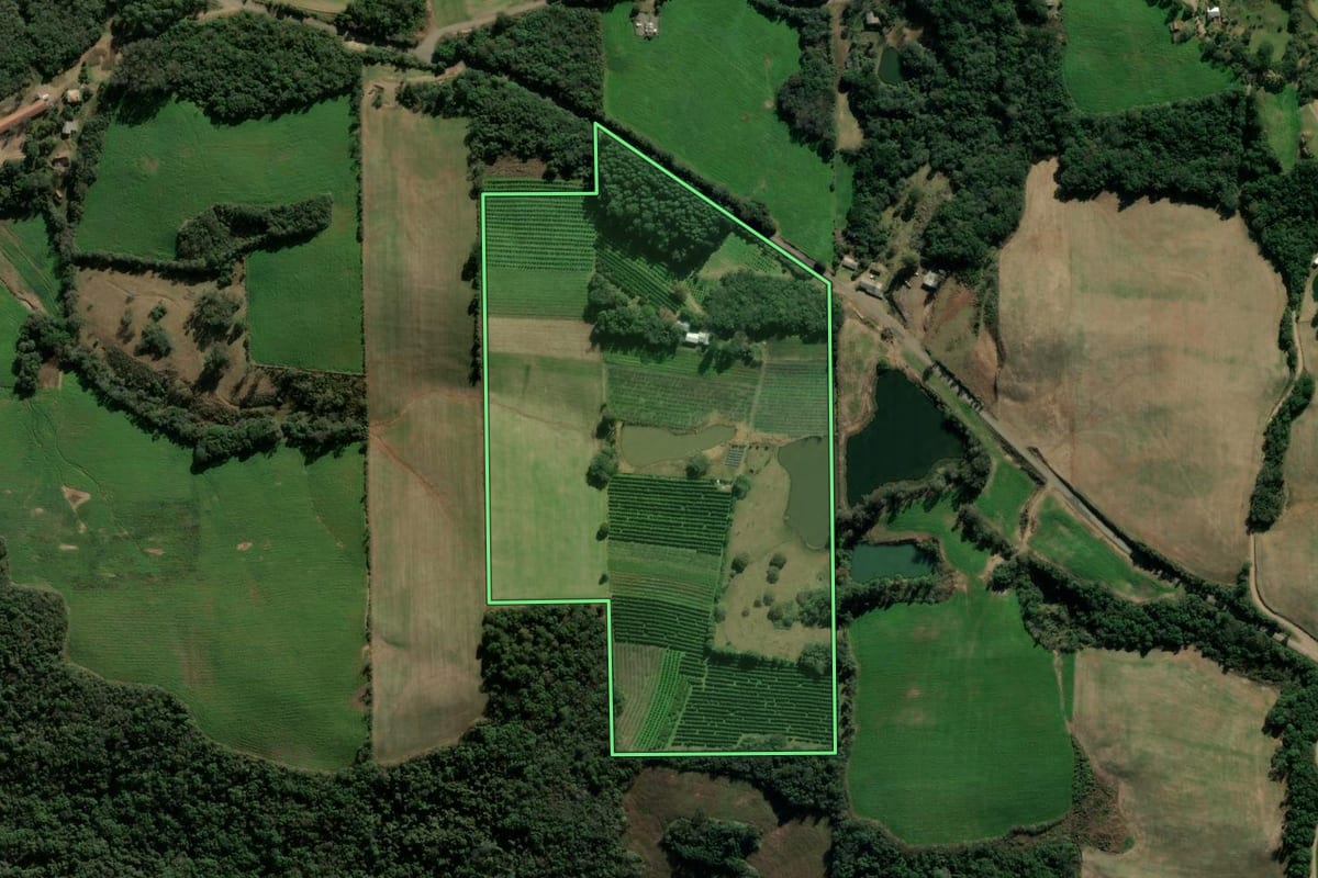 Imagem de satélite do imóvel rural em Veranópolis (RS), com o contorno declarado no CAR desenhado por cima.