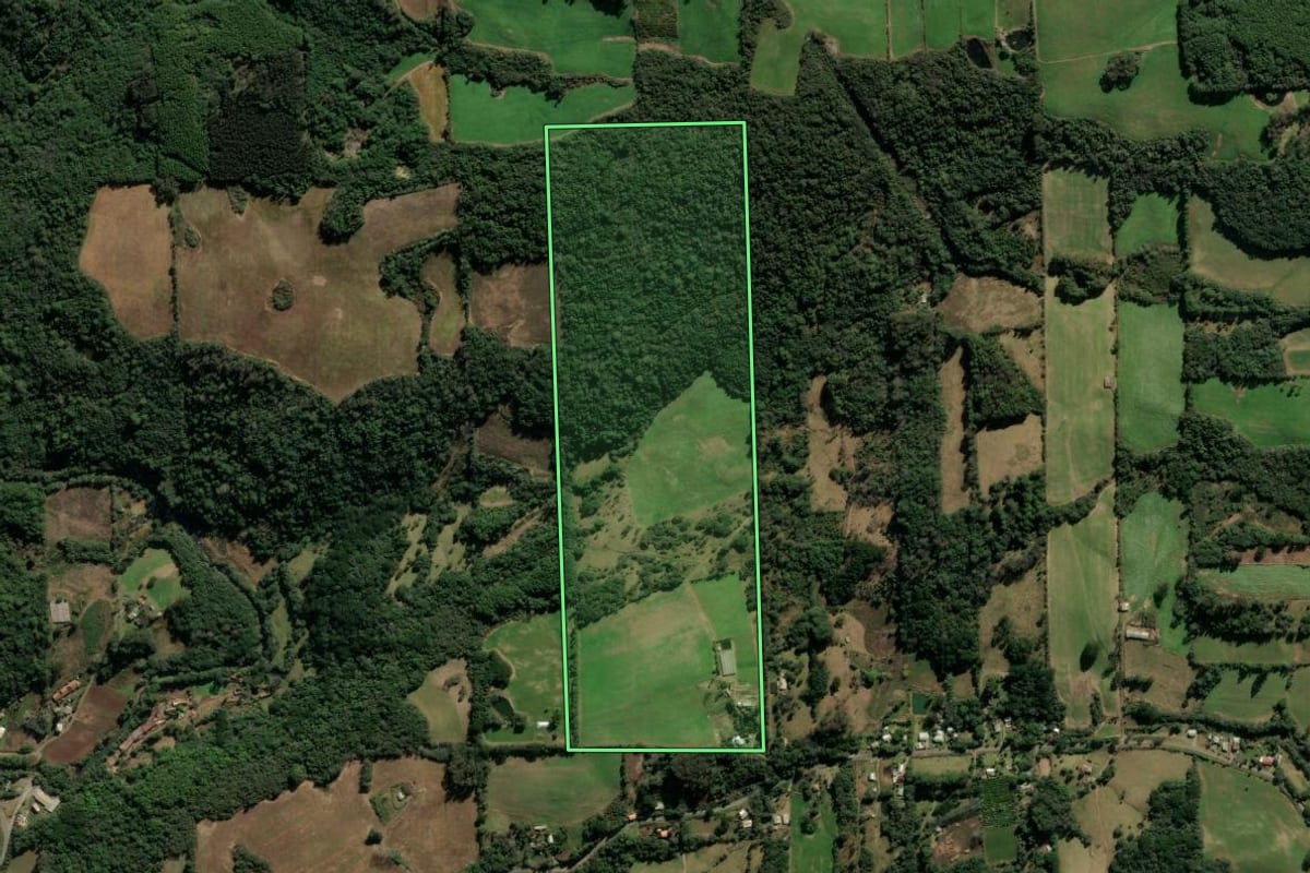 Imagem de satélite do imóvel rural em Veranópolis (RS), com o contorno declarado no CAR desenhado por cima.