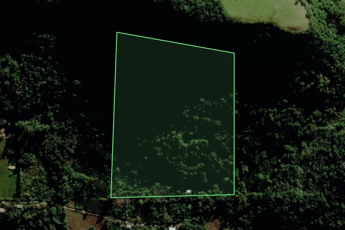 Imagem de satélite do imóvel rural em Veranópolis (RS), com o contorno declarado no CAR desenhado por cima.
