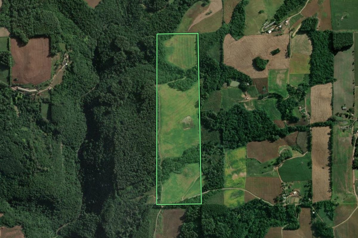 Imagem de satélite do imóvel rural em Vespasiano Corrêa (RS), com o contorno declarado no CAR desenhado por cima.