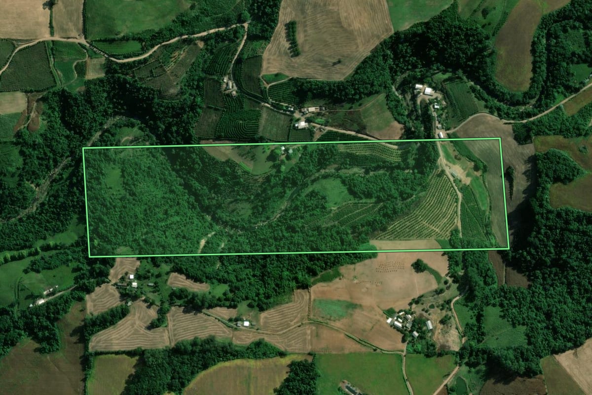 Imagem de satélite do imóvel rural em Vespasiano Corrêa (RS), com o contorno declarado no CAR desenhado por cima.