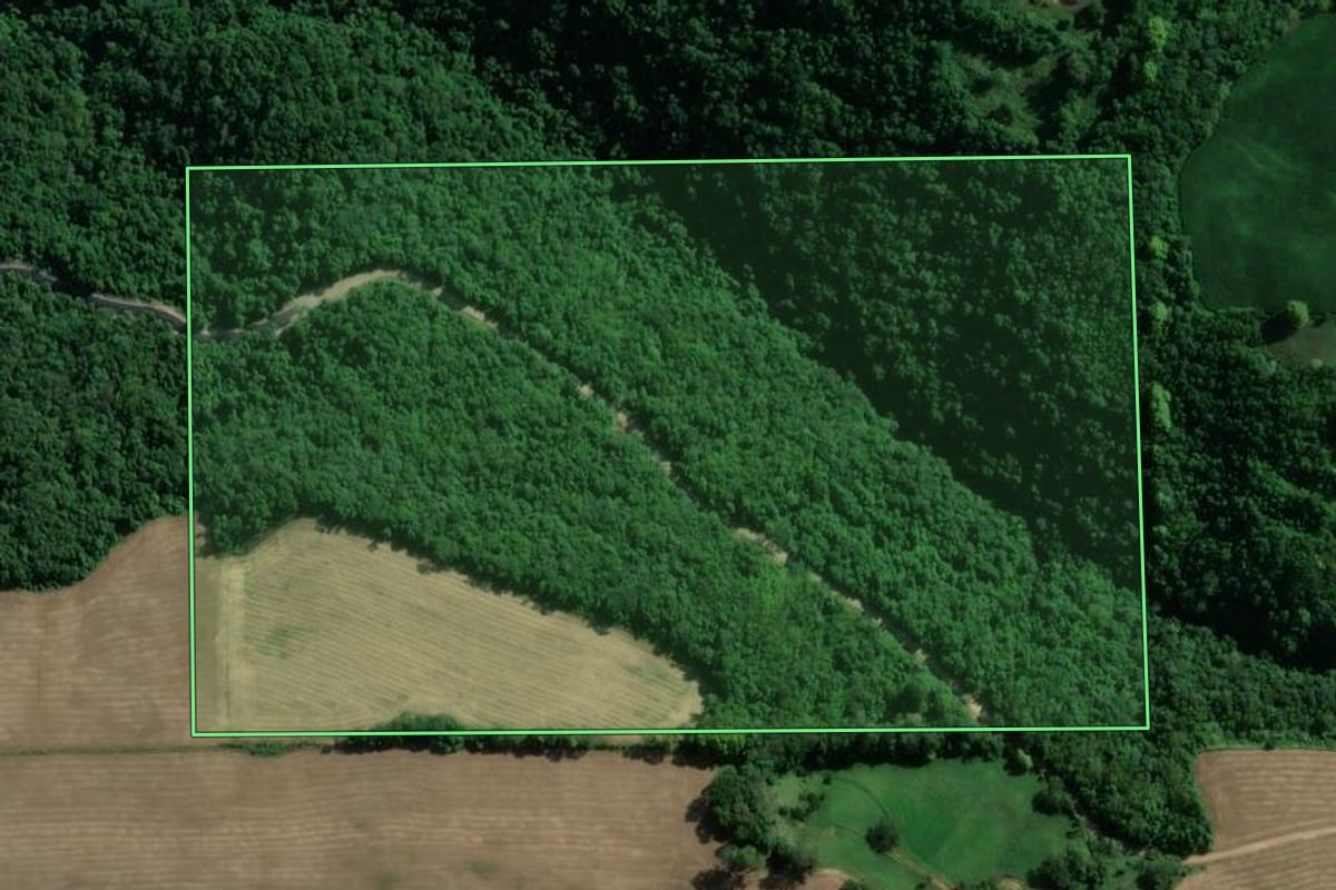 Imagem de satélite do imóvel rural em Vespasiano Corrêa (RS), com o contorno declarado no CAR desenhado por cima.