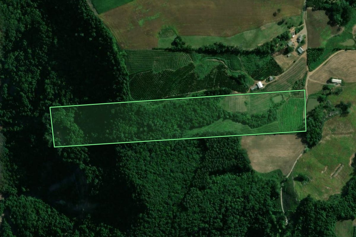 Imagem de satélite do imóvel rural em Vespasiano Corrêa (RS), com o contorno declarado no CAR desenhado por cima.