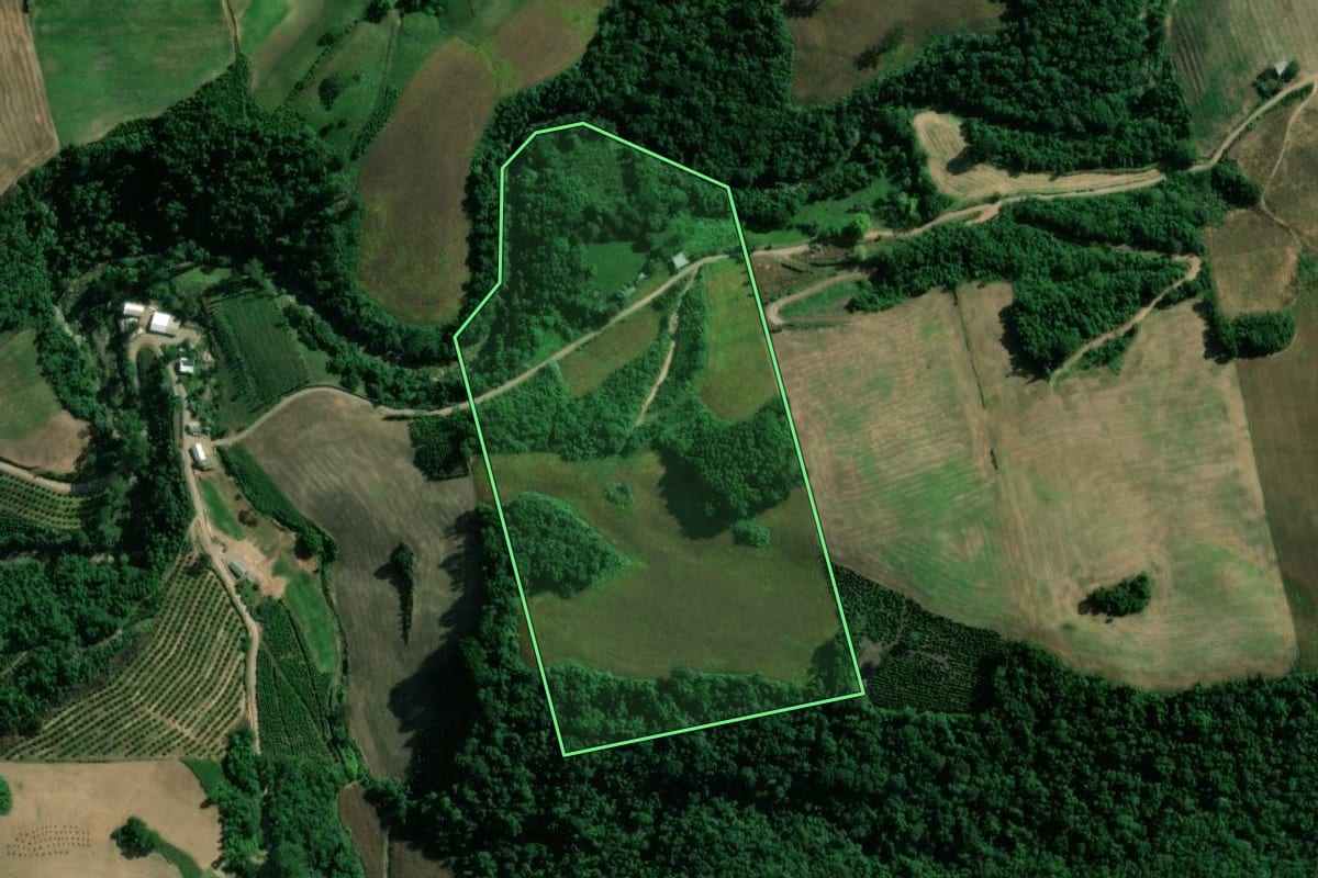 Imagem de satélite do imóvel rural em Vespasiano Corrêa (RS), com o contorno declarado no CAR desenhado por cima.