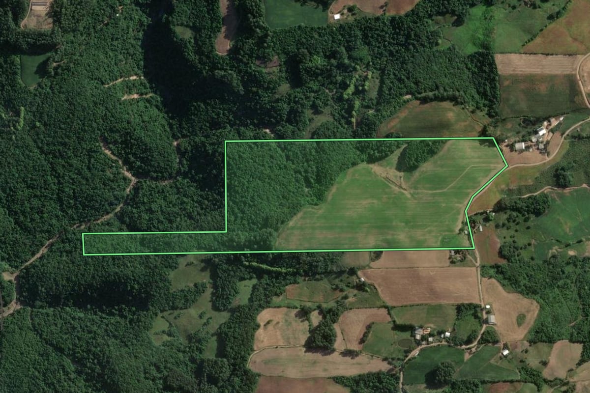 Imagem de satélite do imóvel rural em Vespasiano Corrêa (RS), com o contorno declarado no CAR desenhado por cima.