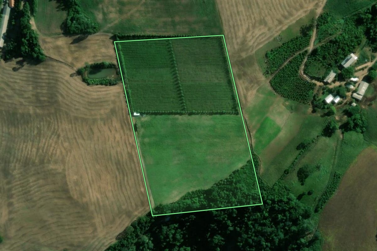 Imagem de satélite do imóvel rural em Vespasiano Corrêa (RS), com o contorno declarado no CAR desenhado por cima.