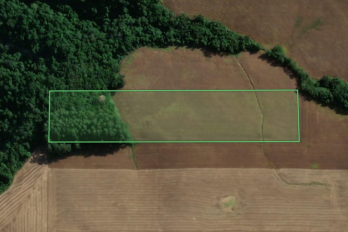 Imagem de satélite do imóvel rural em Vespasiano Corrêa (RS), com o contorno declarado no CAR desenhado por cima.