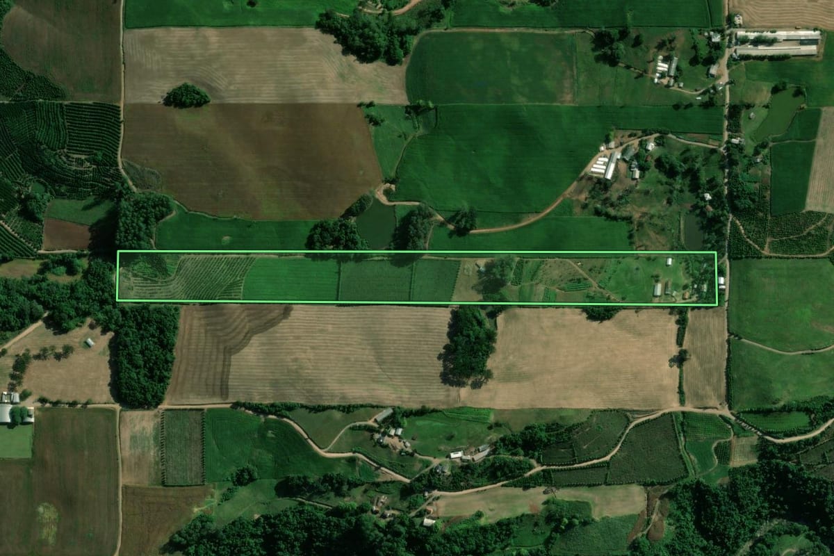 Imagem de satélite do imóvel rural em Vespasiano Corrêa (RS), com o contorno declarado no CAR desenhado por cima.