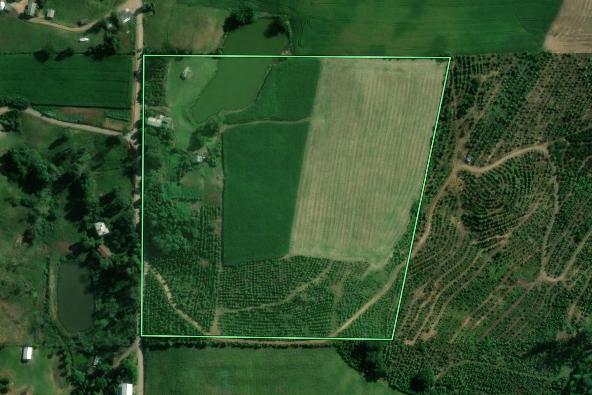 Imagem de satélite do imóvel rural em Vespasiano Corrêa (RS), com o contorno declarado no CAR desenhado por cima.