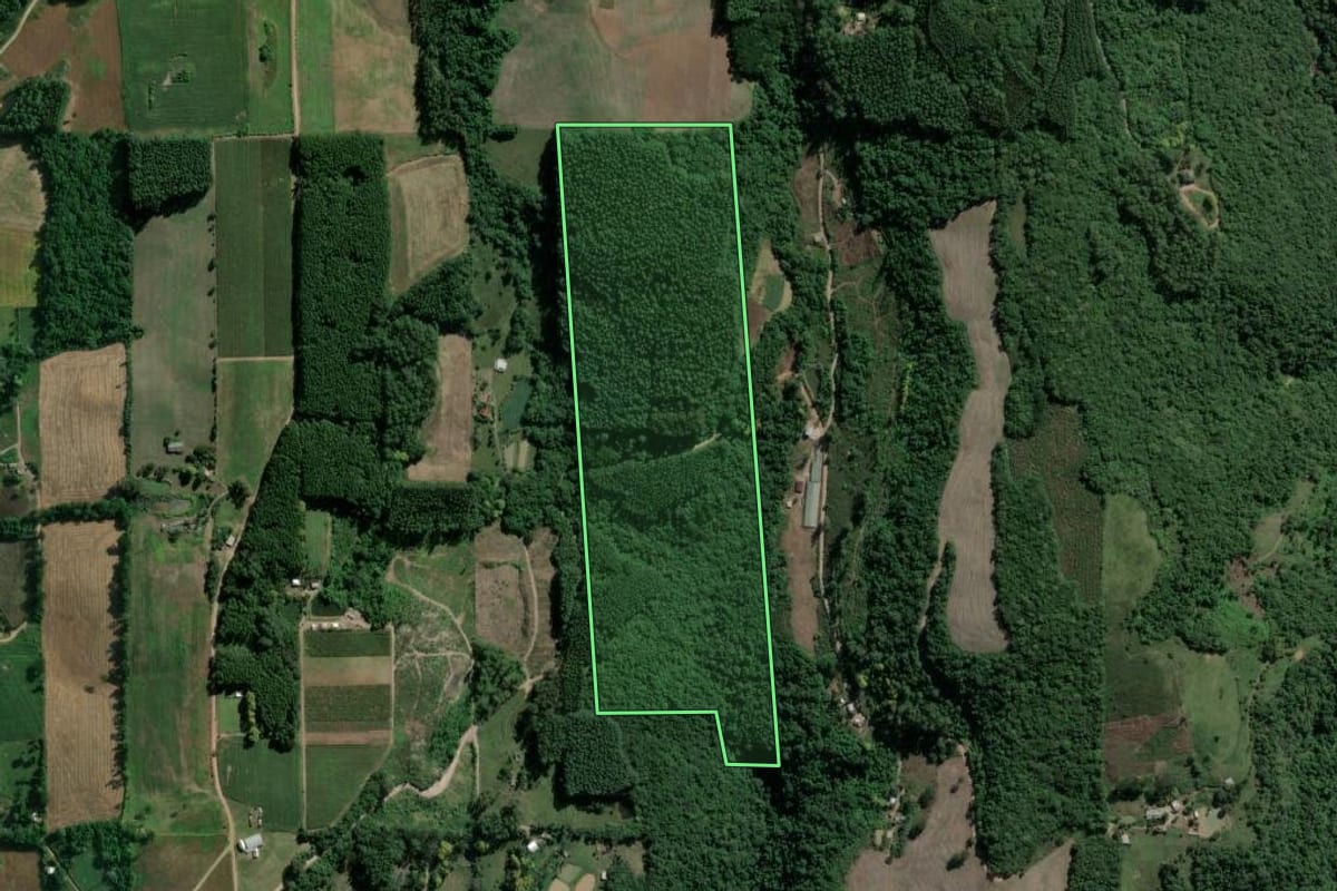 Imagem de satélite do imóvel rural em Vespasiano Corrêa (RS), com o contorno declarado no CAR desenhado por cima.