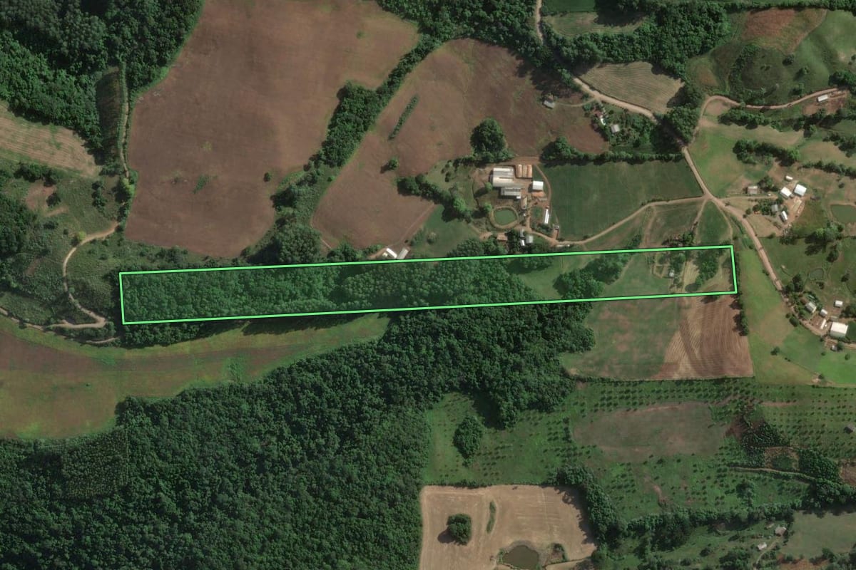 Imagem de satélite do imóvel rural em Vespasiano Corrêa (RS), com o contorno declarado no CAR desenhado por cima.