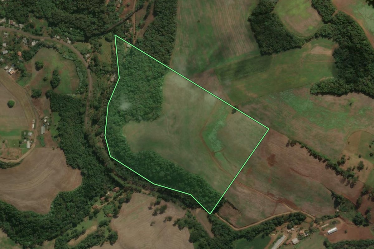 Imagem de satélite do imóvel rural em Viadutos (RS), com o contorno declarado no CAR desenhado por cima.