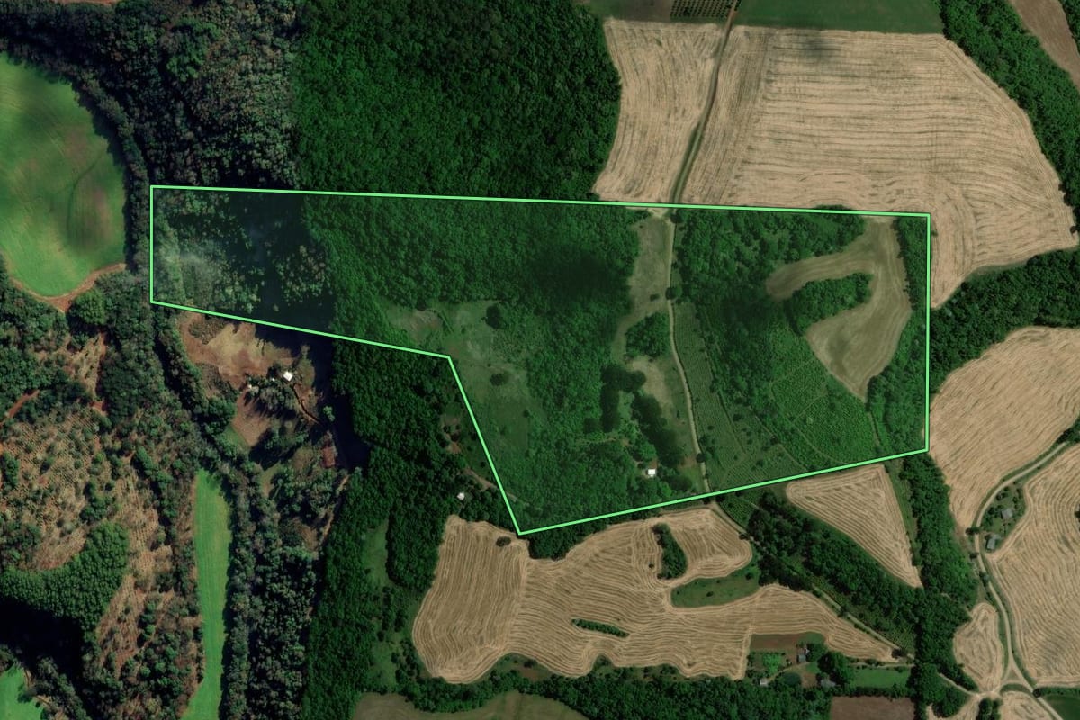 Imagem de satélite do imóvel rural em Viadutos (RS), com o contorno declarado no CAR desenhado por cima.