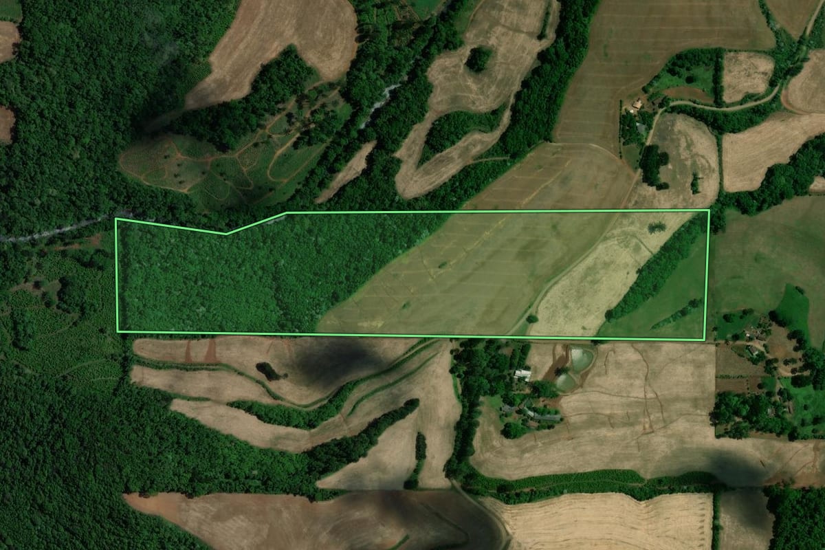Imagem de satélite do imóvel rural em Viadutos (RS), com o contorno declarado no CAR desenhado por cima.