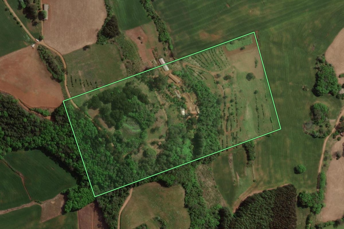 Imagem de satélite do imóvel rural em Viadutos (RS), com o contorno declarado no CAR desenhado por cima.