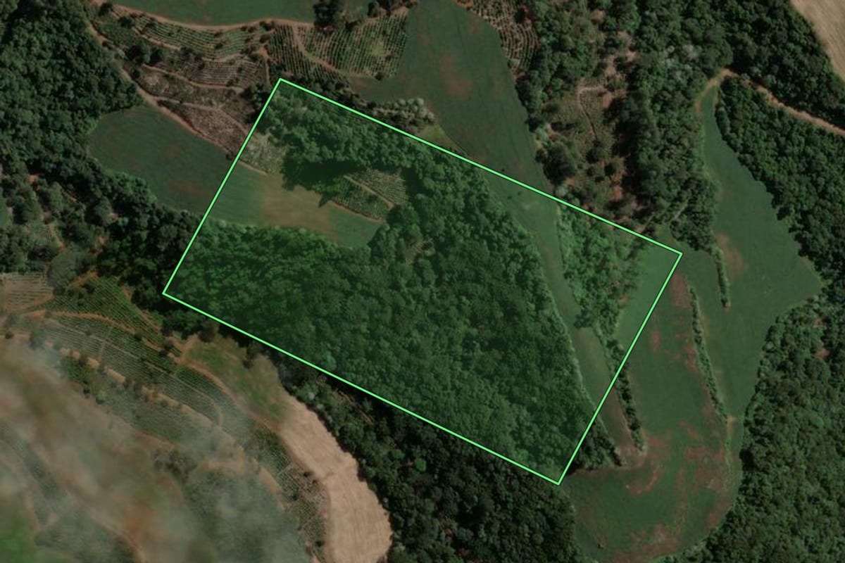 Imagem de satélite do imóvel rural em Viadutos (RS), com o contorno declarado no CAR desenhado por cima.