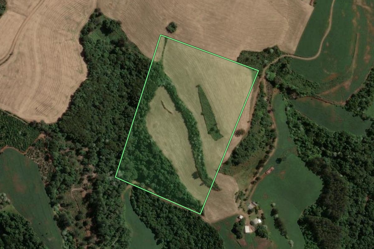 Imagem de satélite do imóvel rural em Viadutos (RS), com o contorno declarado no CAR desenhado por cima.
