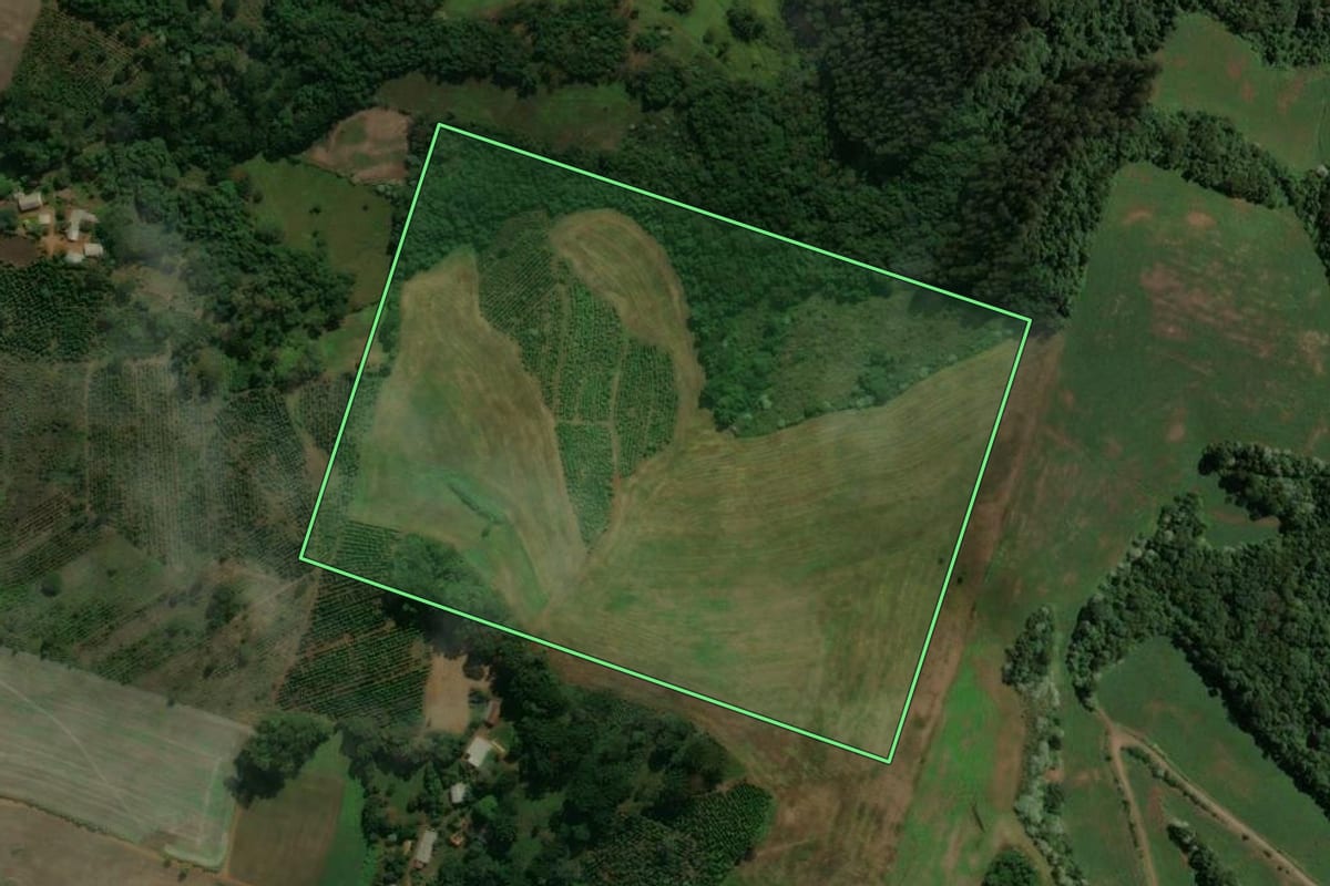 Imagem de satélite do imóvel rural em Viadutos (RS), com o contorno declarado no CAR desenhado por cima.