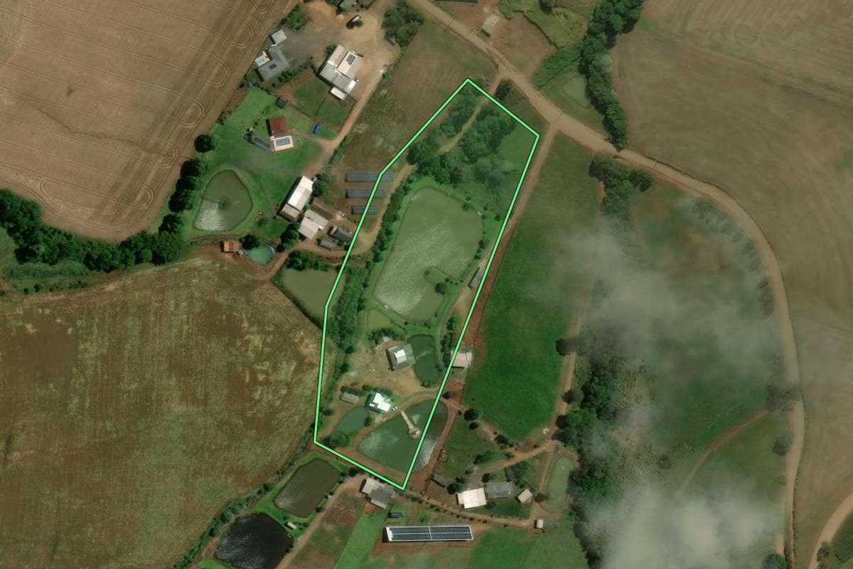 Imagem de satélite do imóvel rural em Viadutos (RS), com o contorno declarado no CAR desenhado por cima.