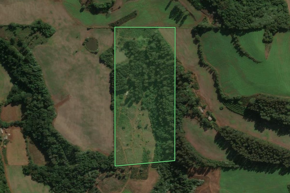Imagem de satélite do imóvel rural em Viadutos (RS), com o contorno declarado no CAR desenhado por cima.