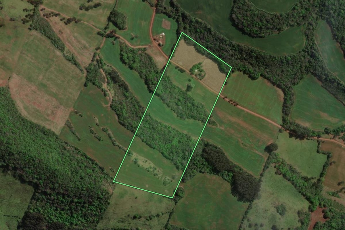 Imagem de satélite do imóvel rural em Viadutos (RS), com o contorno declarado no CAR desenhado por cima.
