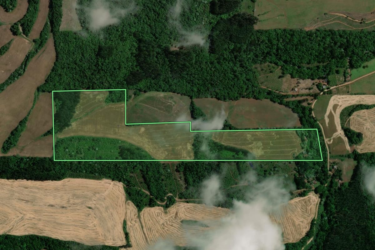 Imagem de satélite do imóvel rural em Viadutos (RS), com o contorno declarado no CAR desenhado por cima.