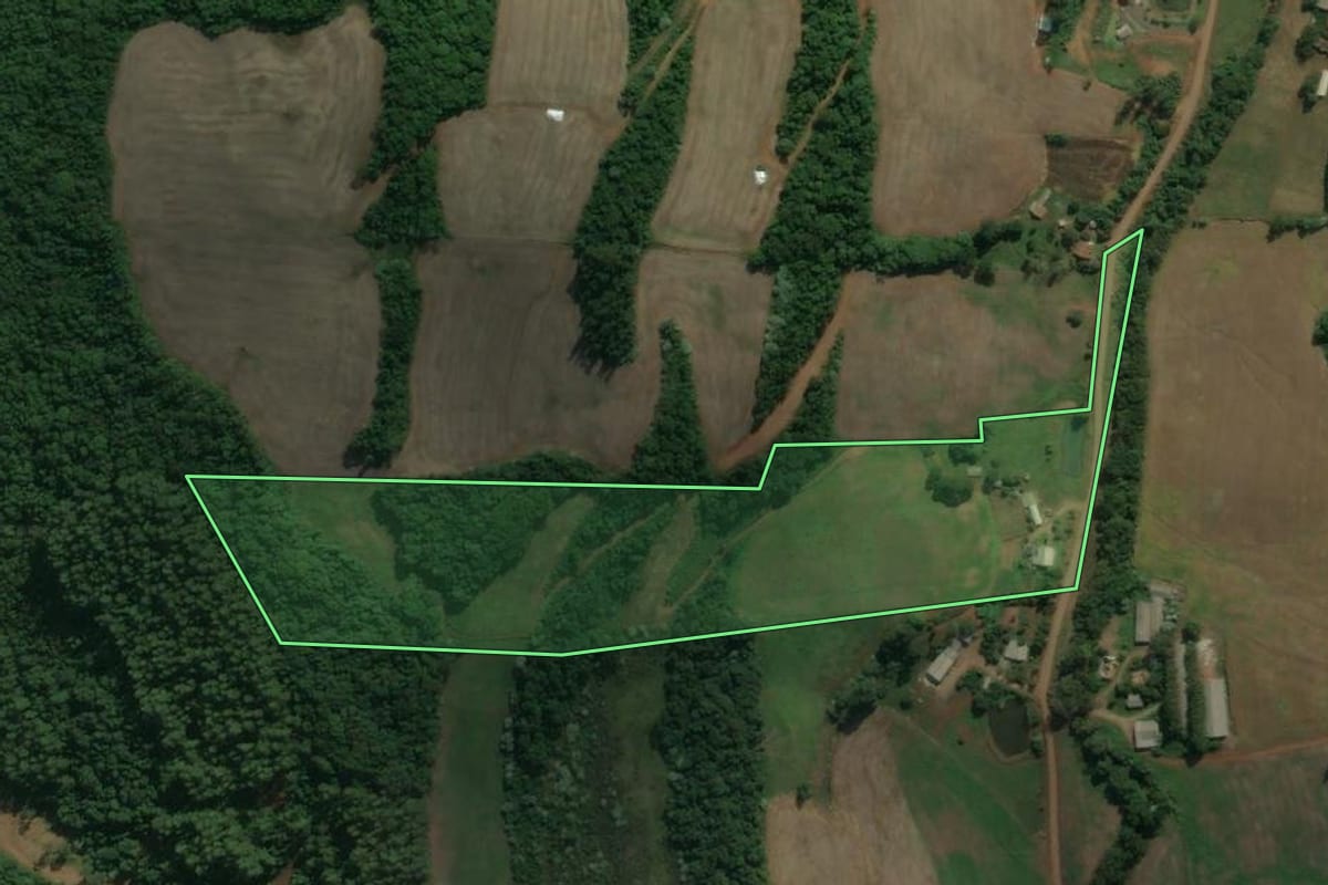 Imagem de satélite do imóvel rural em Viadutos (RS), com o contorno declarado no CAR desenhado por cima.