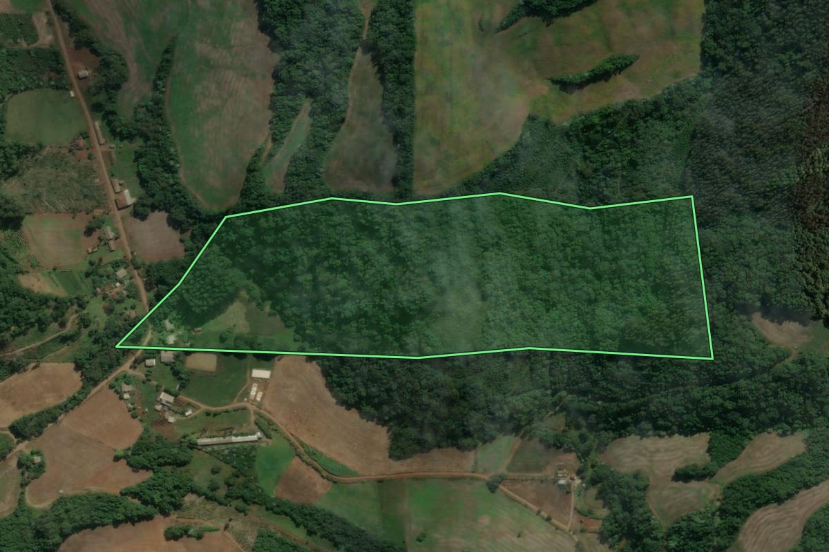 Imagem de satélite do imóvel rural em Viadutos (RS), com o contorno declarado no CAR desenhado por cima.