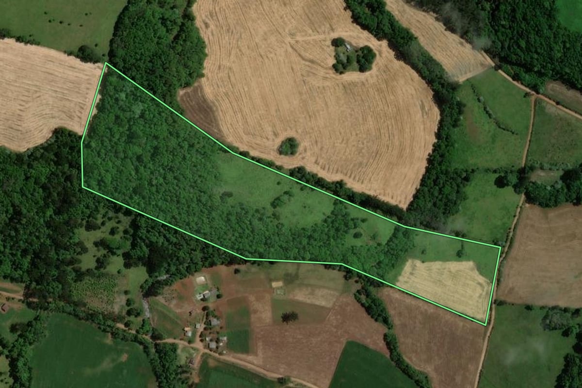 Imagem de satélite do imóvel rural em Viadutos (RS), com o contorno declarado no CAR desenhado por cima.