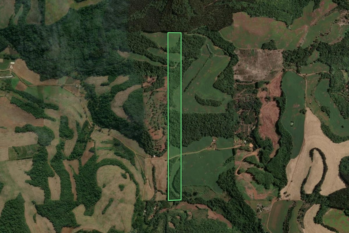 Imagem de satélite do imóvel rural em Viadutos (RS), com o contorno declarado no CAR desenhado por cima.