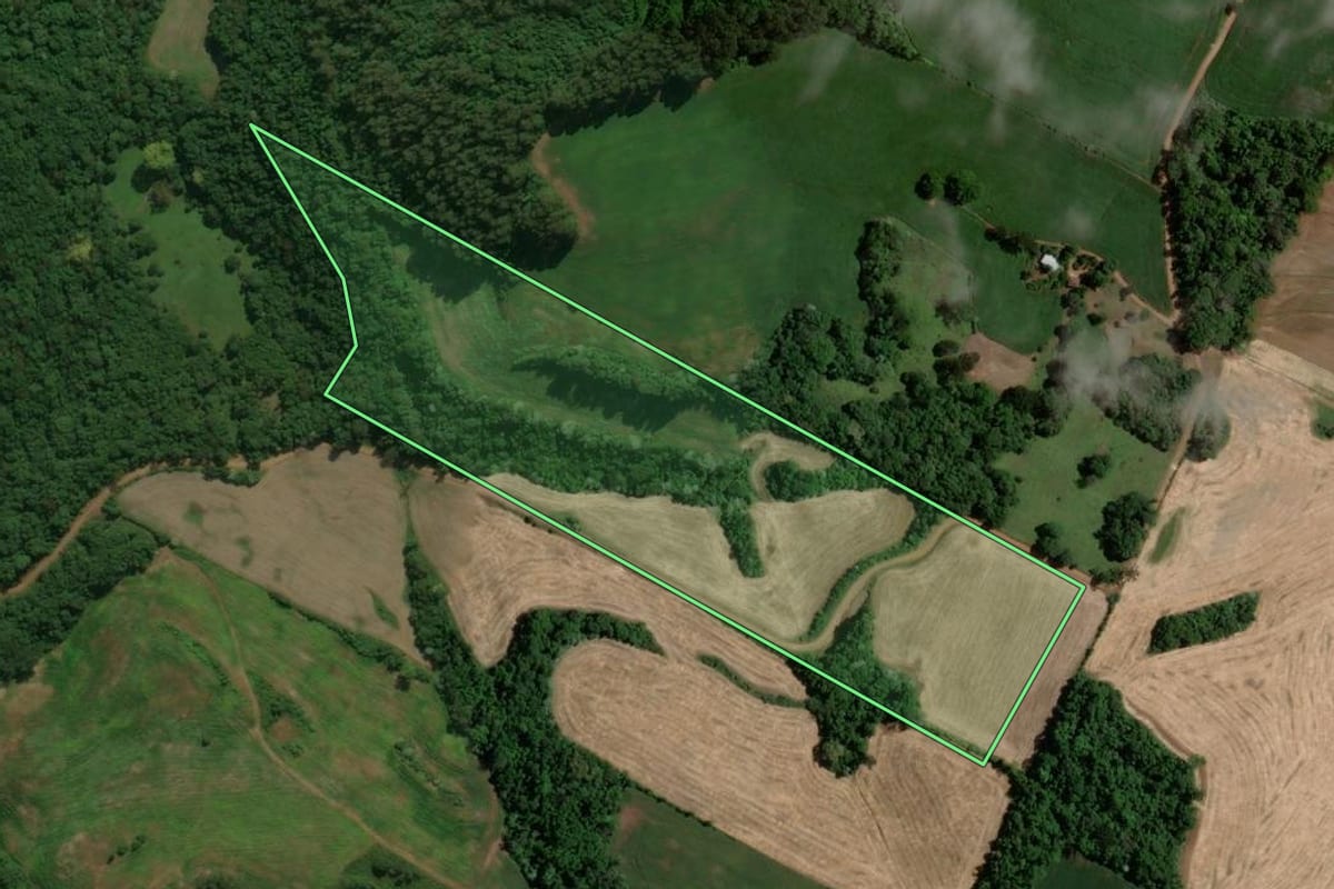 Imagem de satélite do imóvel rural em Viadutos (RS), com o contorno declarado no CAR desenhado por cima.