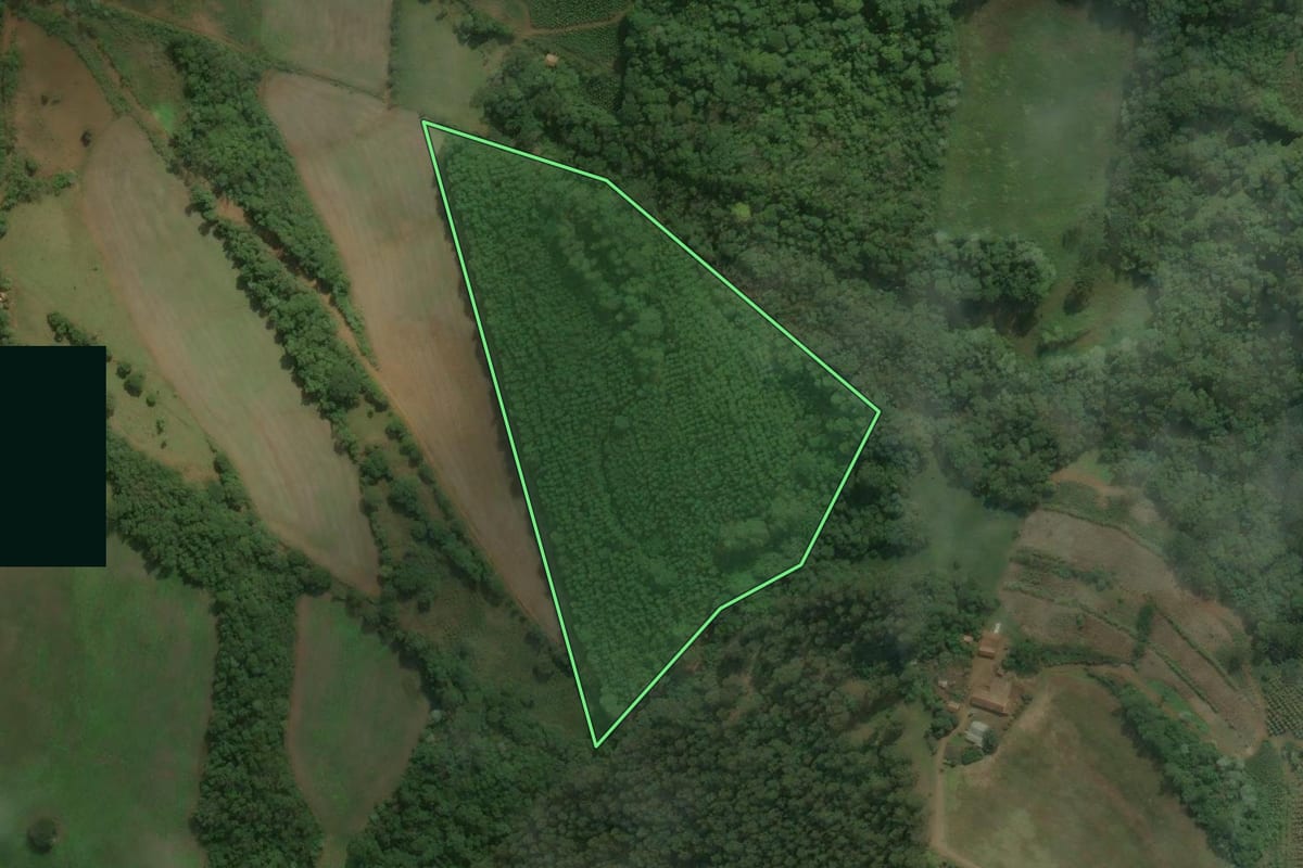 Imagem de satélite do imóvel rural em Viadutos (RS), com o contorno declarado no CAR desenhado por cima.