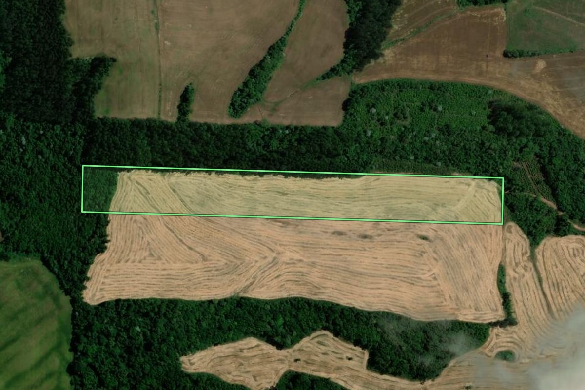 Imagem de satélite do imóvel rural em Viadutos (RS), com o contorno declarado no CAR desenhado por cima.