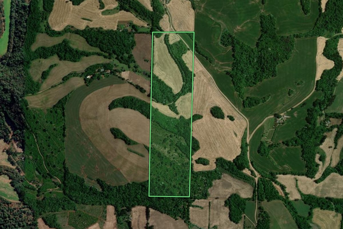 Imagem de satélite do imóvel rural em Viadutos (RS), com o contorno declarado no CAR desenhado por cima.