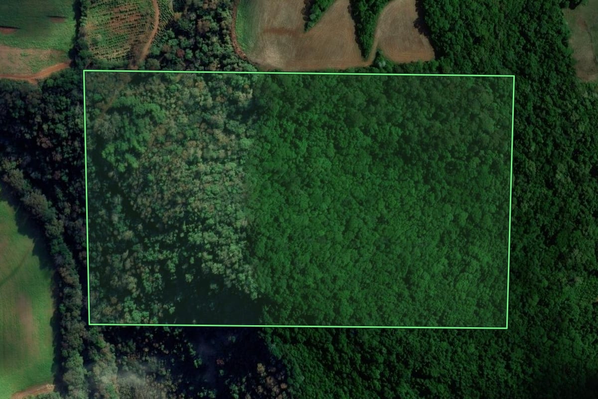 Imagem de satélite do imóvel rural em Viadutos (RS), com o contorno declarado no CAR desenhado por cima.