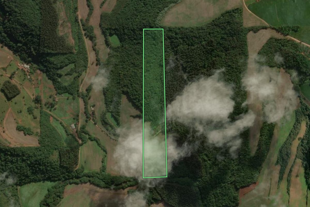 Imagem de satélite do imóvel rural em Viadutos (RS), com o contorno declarado no CAR desenhado por cima.